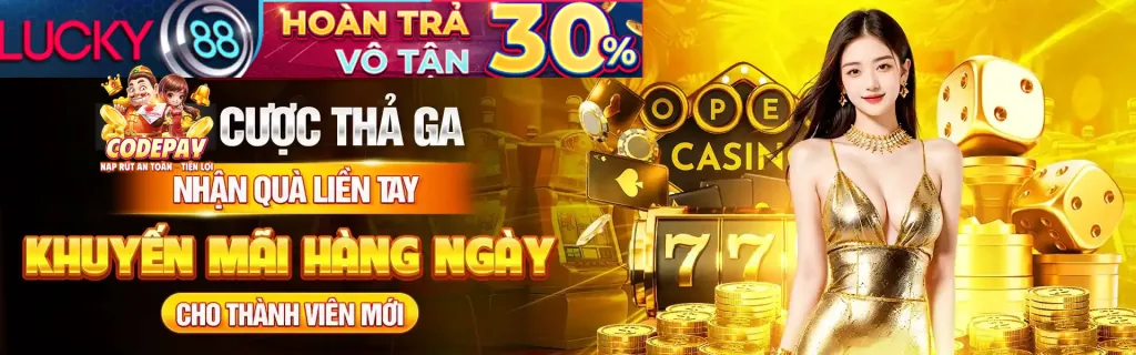 Hệ thống bảo mật 0mu88